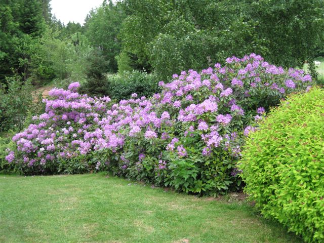 Jardins de Callunes